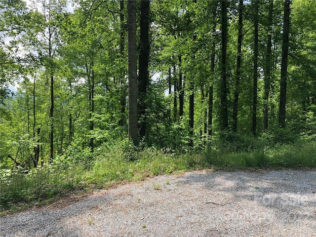 Listing photo 2 for LOT35 Laurel Creek Dr, Hendersonville NC 28792