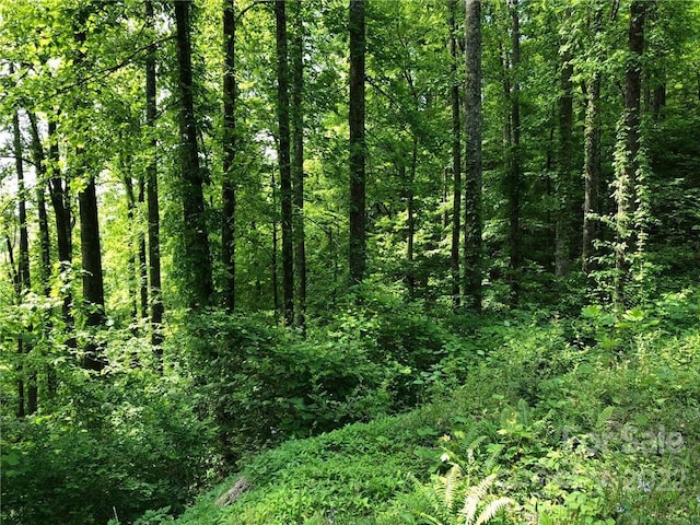 Listing photo 3 for LOT35 Laurel Creek Dr, Hendersonville NC 28792