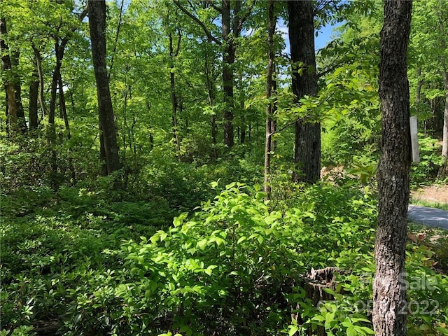 Listing photo 3 for LOT65 Marshall Ridge Rd, Hendersonville NC 28792