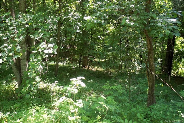 LOT509 Multiflora Way, Waynesville NC, 28785 land for sale