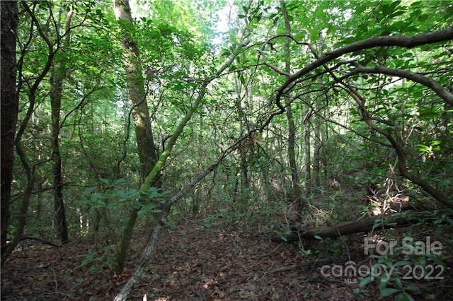 Listing photo 2 for LOT19 Gastons Bee Gum Rd Unit 19, Brevard NC 28712