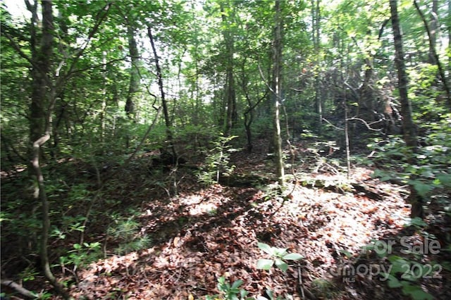 Listing photo 3 for LOT19 Gastons Bee Gum Rd Unit 19, Brevard NC 28712