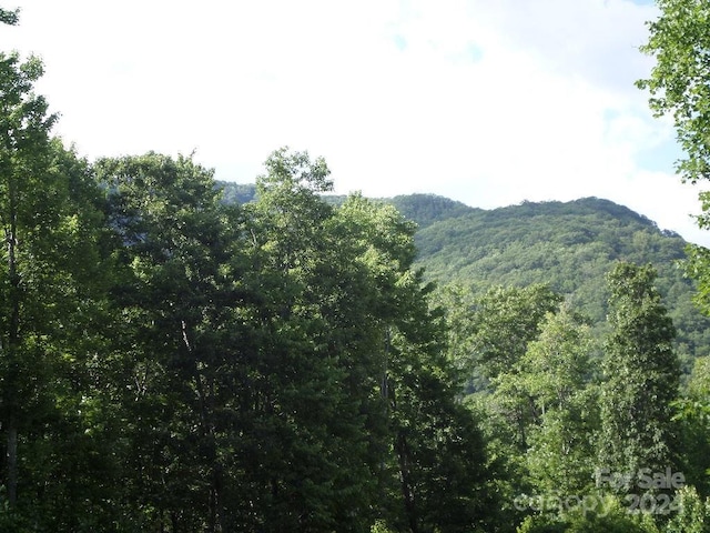 Listing photo 3 for 63A Jonathan Trl, Maggie Valley NC 28751