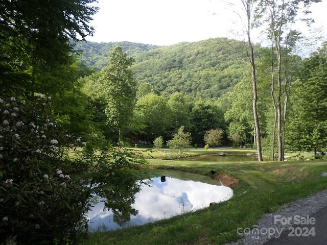 100 Tenderfoot Trail 100 & 101, Maggie Valley NC, 28751 land for sale