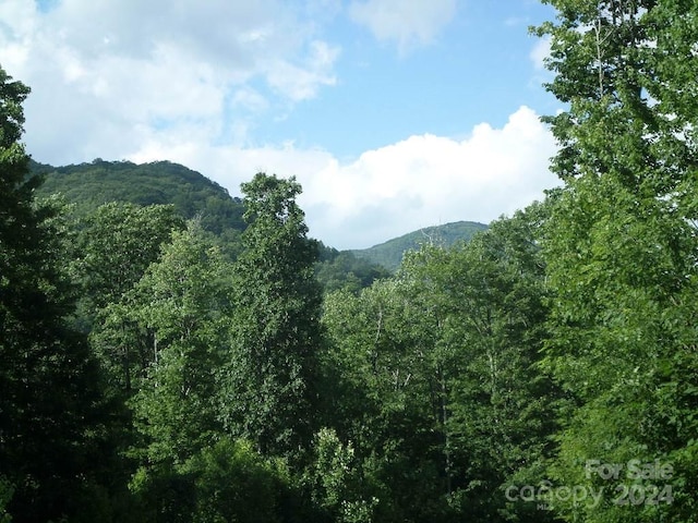 Listing photo 2 for 100 Tenderfoot Trail 100 & 101, Maggie Valley NC 28751