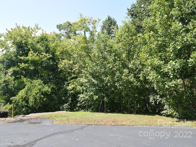 324 Mountain Crest Dr Unit 38, Hendersonville NC, 28739 land for sale