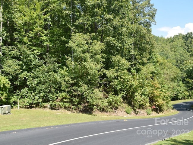 216 Mountain Crest Dr Unit 34, Hendersonville NC, 28739 land for sale