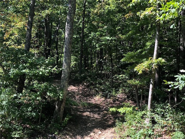 LOT69AND69A Marshall Ridge Rd, Hendersonville NC, 28792 land for sale