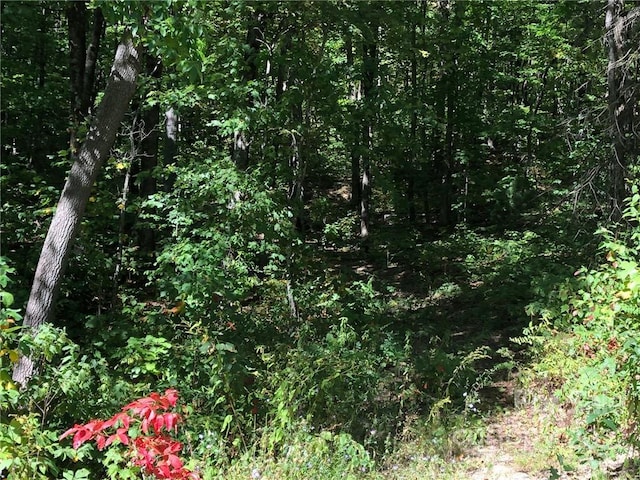 Listing photo 2 for LOT69AND69A Marshall Ridge Rd, Hendersonville NC 28792