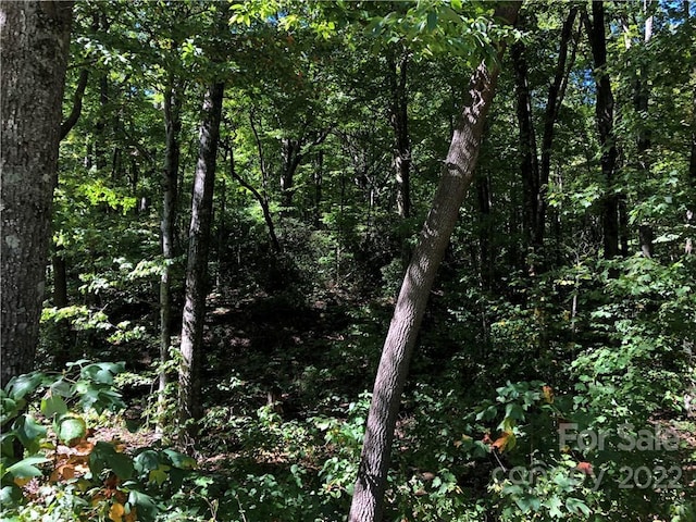 LOT70 Marshall Ridge Rd, Hendersonville NC, 28792 land for sale