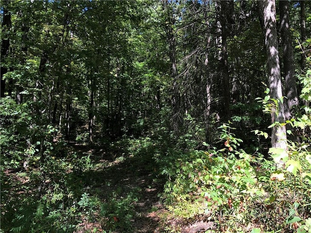 Listing photo 2 for LOT70 Marshall Ridge Rd, Hendersonville NC 28792