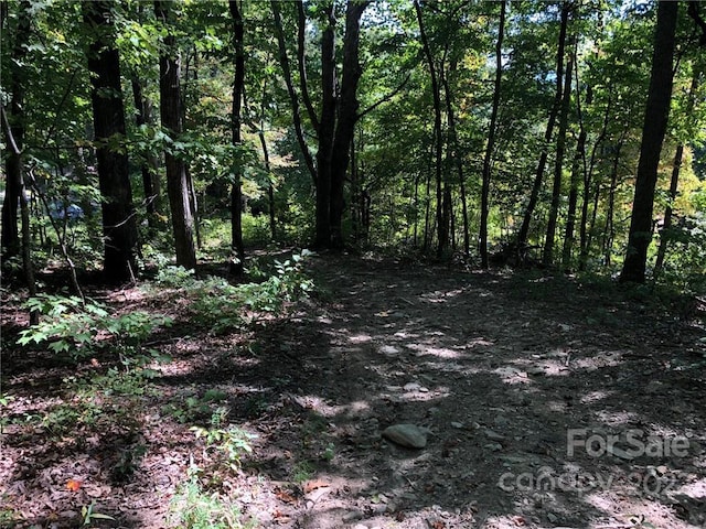 LOT71 Marshall Ridge Rd, Hendersonville NC, 28792 land for sale