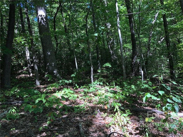 LOT72 Marshall Ridge Rd, Hendersonville NC, 28792 land for sale