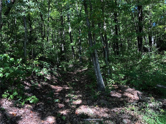 Listing photo 2 for LOT72 Marshall Ridge Rd, Hendersonville NC 28792