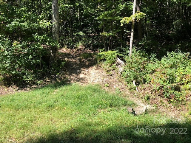 Listing photo 2 for LOT73 Marshall Ridge Rd, Hendersonville NC 28792