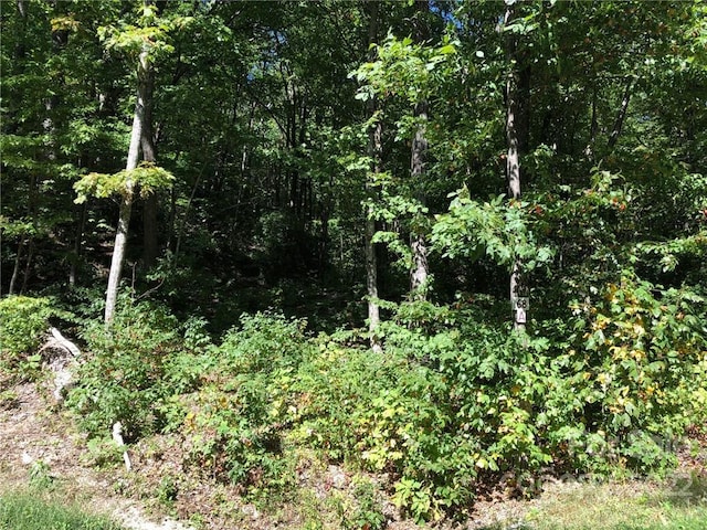 Listing photo 3 for LOT73 Marshall Ridge Rd, Hendersonville NC 28792