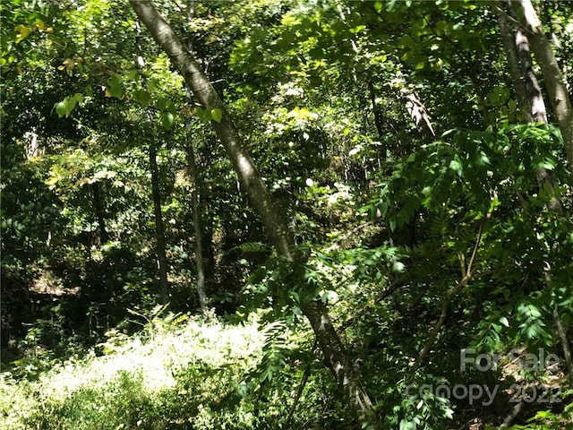 Listing photo 2 for LOT74 Marshall Ridge Rd, Hendersonville NC 28792