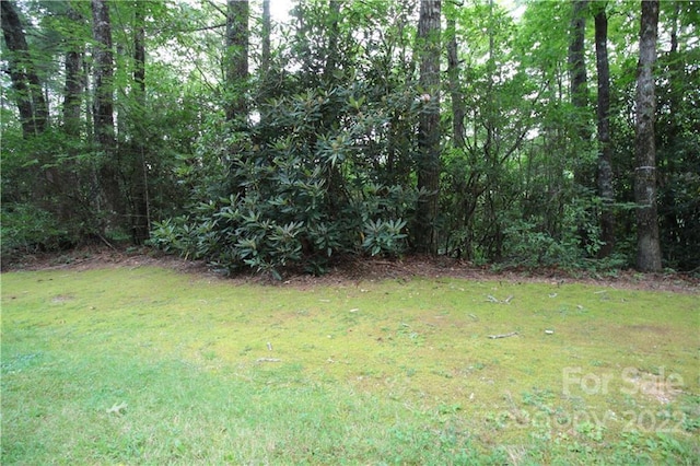 LOT11 Upper Whitewater Rd Unit 11, Sapphire NC, 28774 land for sale