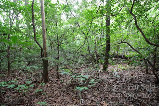 Listing photo 2 for LOT11 Upper Whitewater Rd Unit 11, Sapphire NC 28774