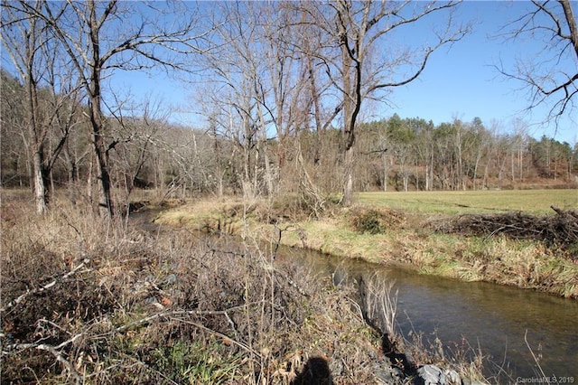 Listing photo 2 for 199 Sandy Mush Creek Rd, Leicester NC 28748