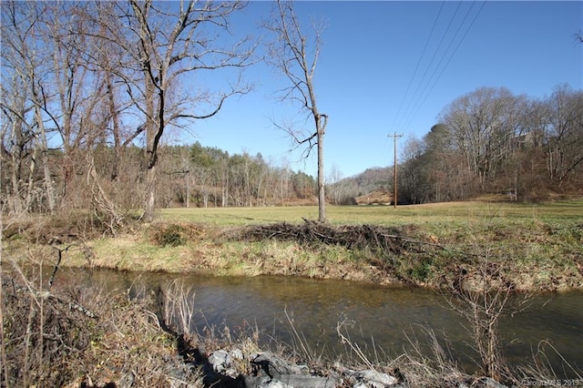 Listing photo 3 for 199 Sandy Mush Creek Rd, Leicester NC 28748