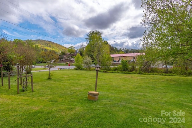 view of community with a mountain view and a lawn