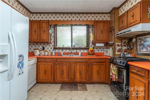 kitchen featuring sink, white appliances, and ornamental molding