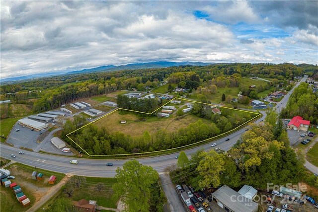 bird's eye view