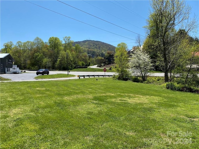 view of yard featuring a mountain view