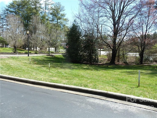 14 Park Pl Unit 14, Brevard NC, 28712 land for sale