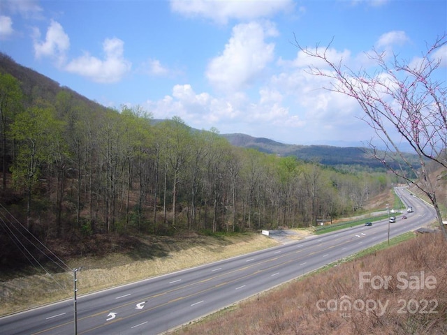 10ACRES Charlotte Hwy, Asheville NC, 28803 land for sale