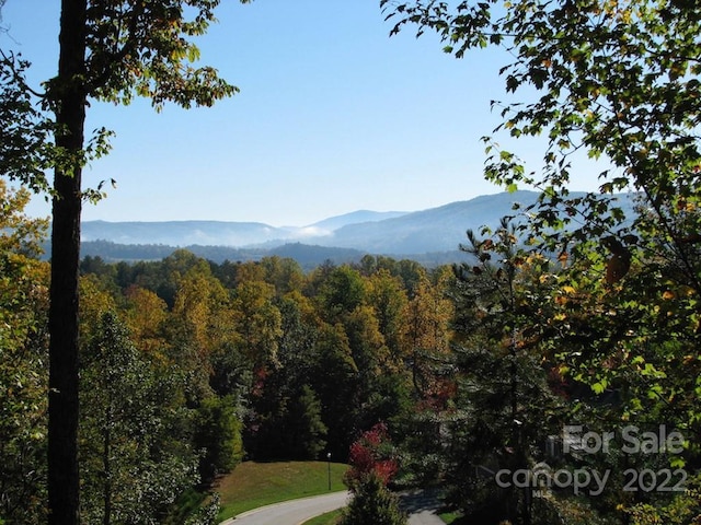 TBD Pine Mountain Trail, Brevard NC, 28712 land for sale