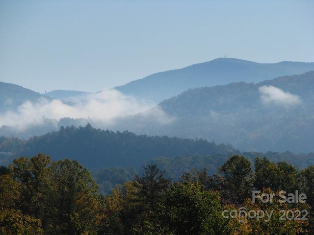 Listing photo 2 for TBD Pine Mountain Trail, Brevard NC 28712