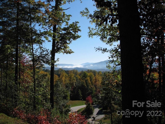 Listing photo 3 for TBD Pine Mountain Trail, Brevard NC 28712