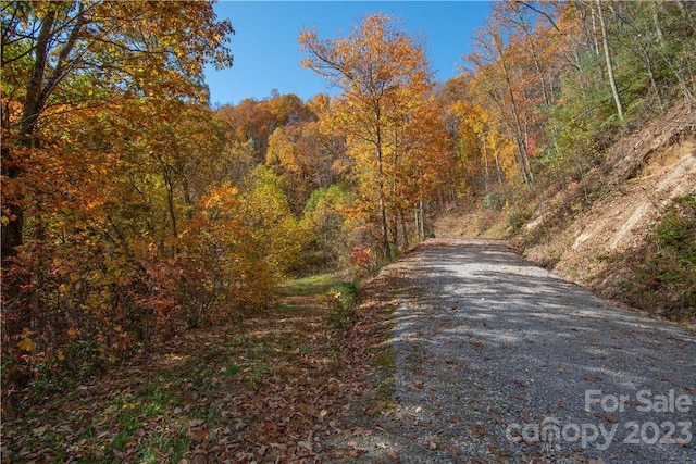 Listing photo 3 for TRACT3 Sigogglin Trl, Waynesville NC 28785