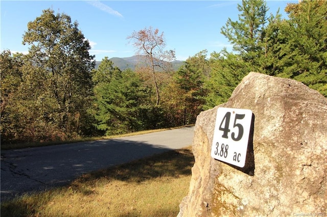 0 Boulder Rdg Unit 45, Lake Lure NC, 28746 land for sale