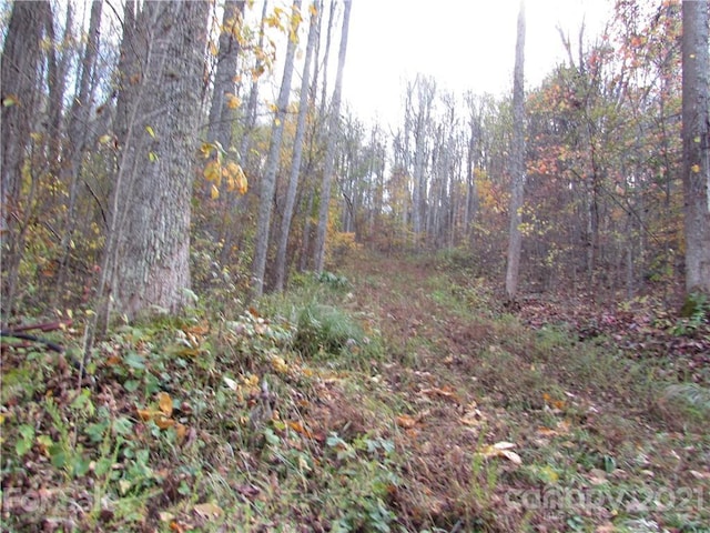 E-3 Red Wolf Run, Mars Hill NC, 28754 land for sale