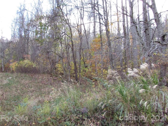 Listing photo 2 for E-3 Red Wolf Run, Mars Hill NC 28754