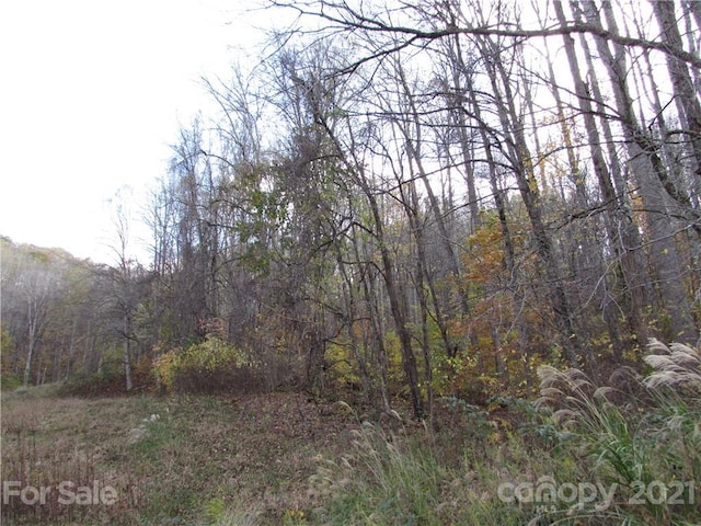 Listing photo 3 for E-3 Red Wolf Run, Mars Hill NC 28754