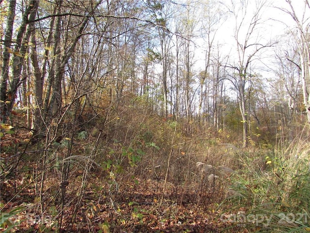 Listing photo 2 for 00 Red Wolf Run, Mars Hill NC 28754