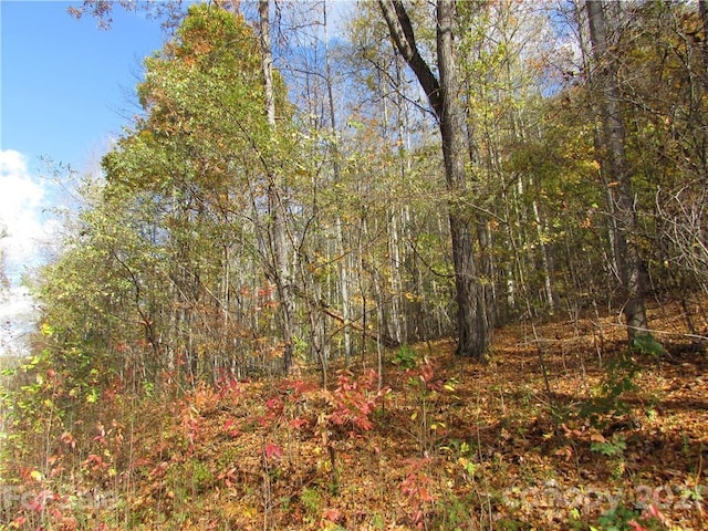 E-13 Red Wolf Run, Mars Hill NC, 28754 land for sale