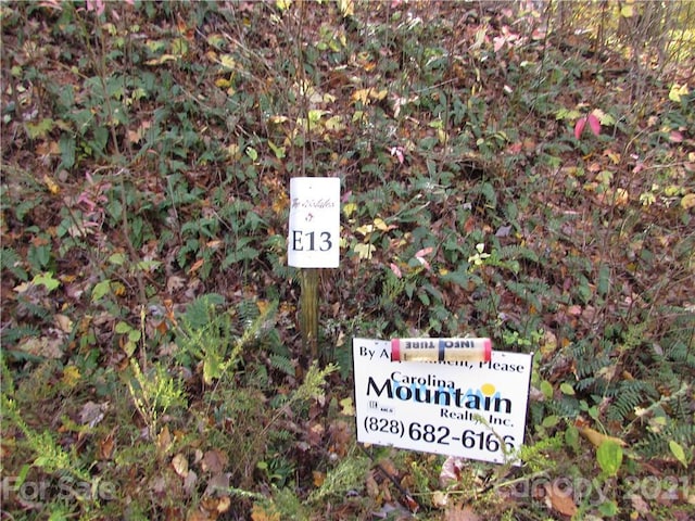 Listing photo 2 for E-13 Red Wolf Run, Mars Hill NC 28754