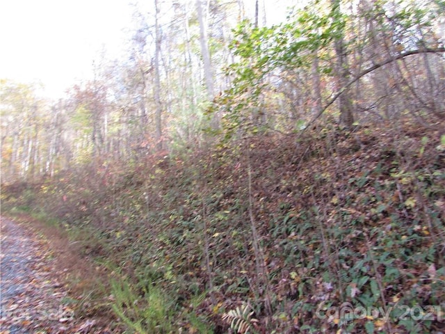 Listing photo 3 for E-13 Red Wolf Run, Mars Hill NC 28754