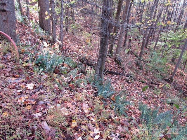 E-15 Red Wolf Run, Mars Hill NC, 28754 land for sale