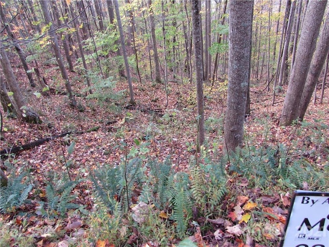 Listing photo 2 for E-15 Red Wolf Run, Mars Hill NC 28754