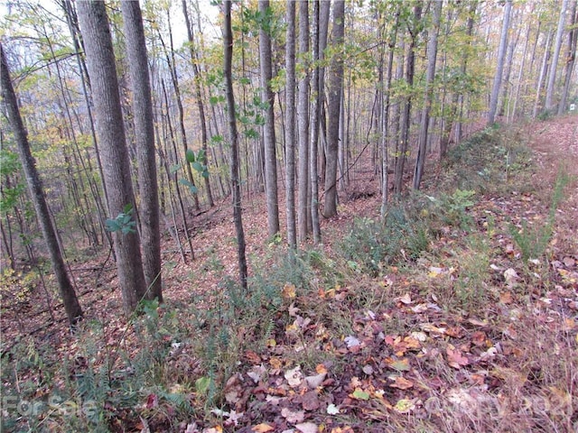 Listing photo 3 for E-15 Red Wolf Run, Mars Hill NC 28754