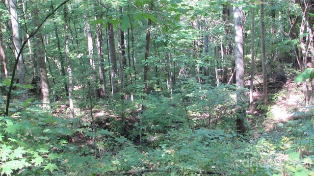 E-17 Red Wolf Run, Mars Hill NC, 28754 land for sale