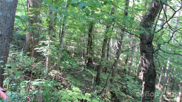 Listing photo 2 for E-17 Red Wolf Run, Mars Hill NC 28754