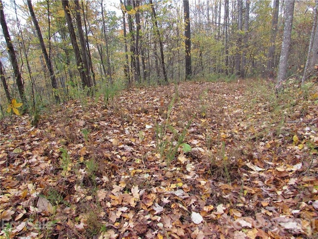 E-20 Red Wolf Run, Mars Hill NC, 28754 land for sale