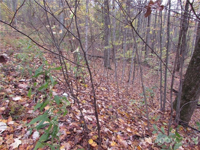 Listing photo 2 for E-20 Red Wolf Run, Mars Hill NC 28754